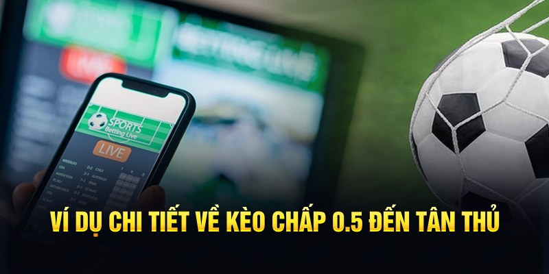 Ví dụ chi tiết về kèo chấp 0.5 đến tân thủ